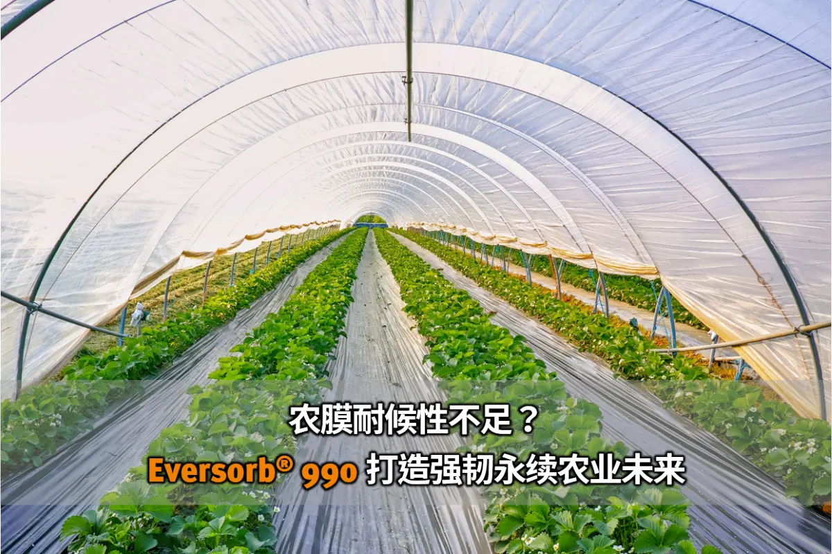 农膜耐候性不足？Eversorb 990 打造强韧永续的农业未来